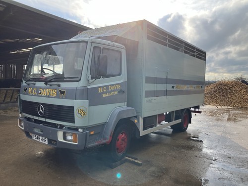 Mercedes 16ft cattle - cattle, livestock